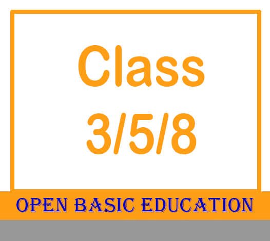 Open Basic Education Class 3/5/8